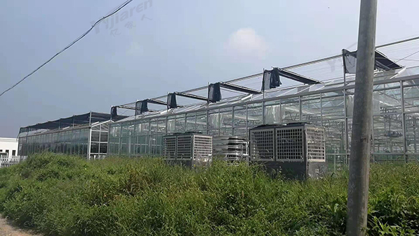 安徽煙草大棚恒溫工程