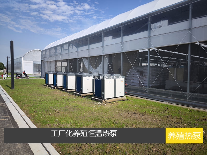 室內養殖水體恒溫：空氣能熱泵在蝦類育苗廠應用