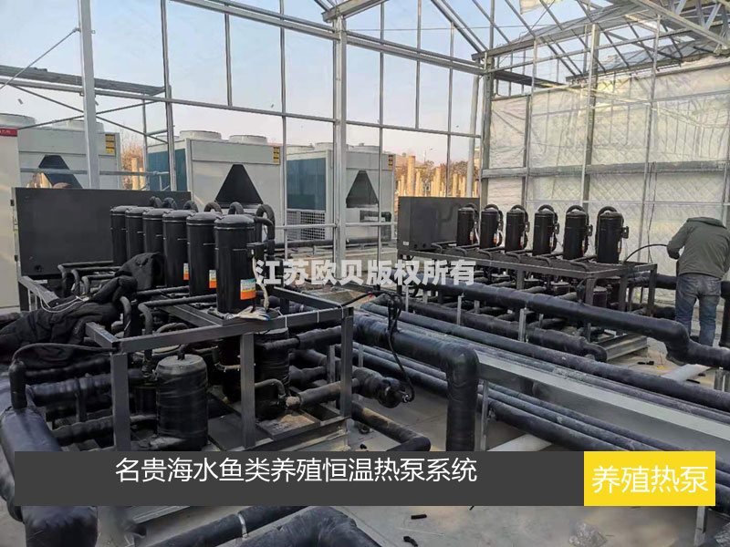 5000立方米名貴海水魚(yú)類養(yǎng)殖恒溫?zé)岜孟到y(tǒng)