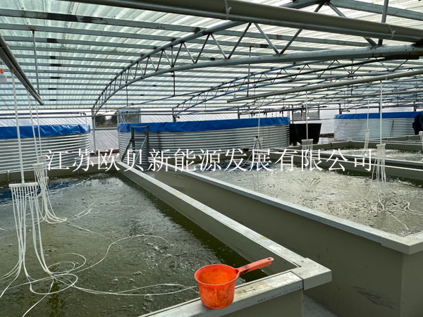 養殖水池
